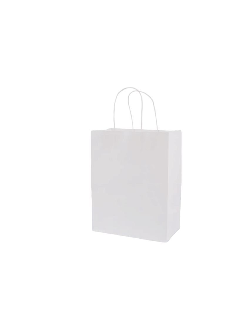 LOT DE 120-Sacs papier kraft /26*12*32cm (couleurs mélangées)