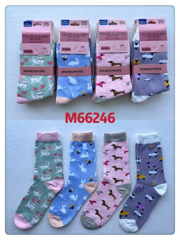 FEMME Chaussettes (x24)