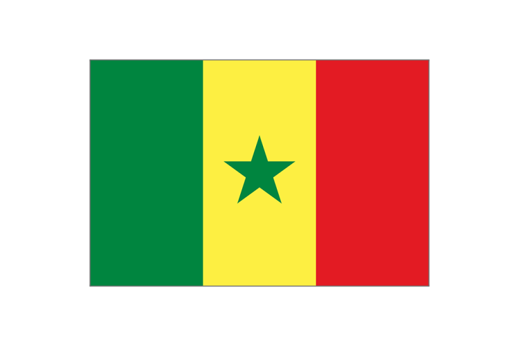 Drapeau Grand format pays au choix 150x90cm (x12)