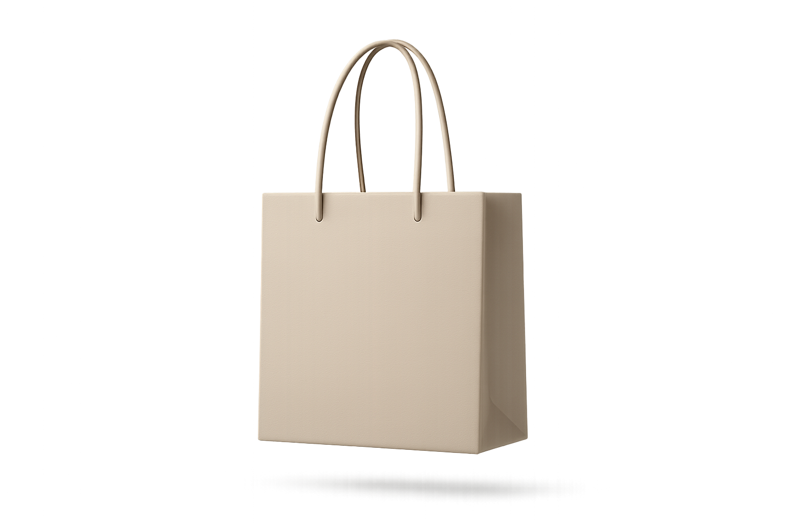 sac (sans fond arriere, 600x600px image optimisé pour la collection list)