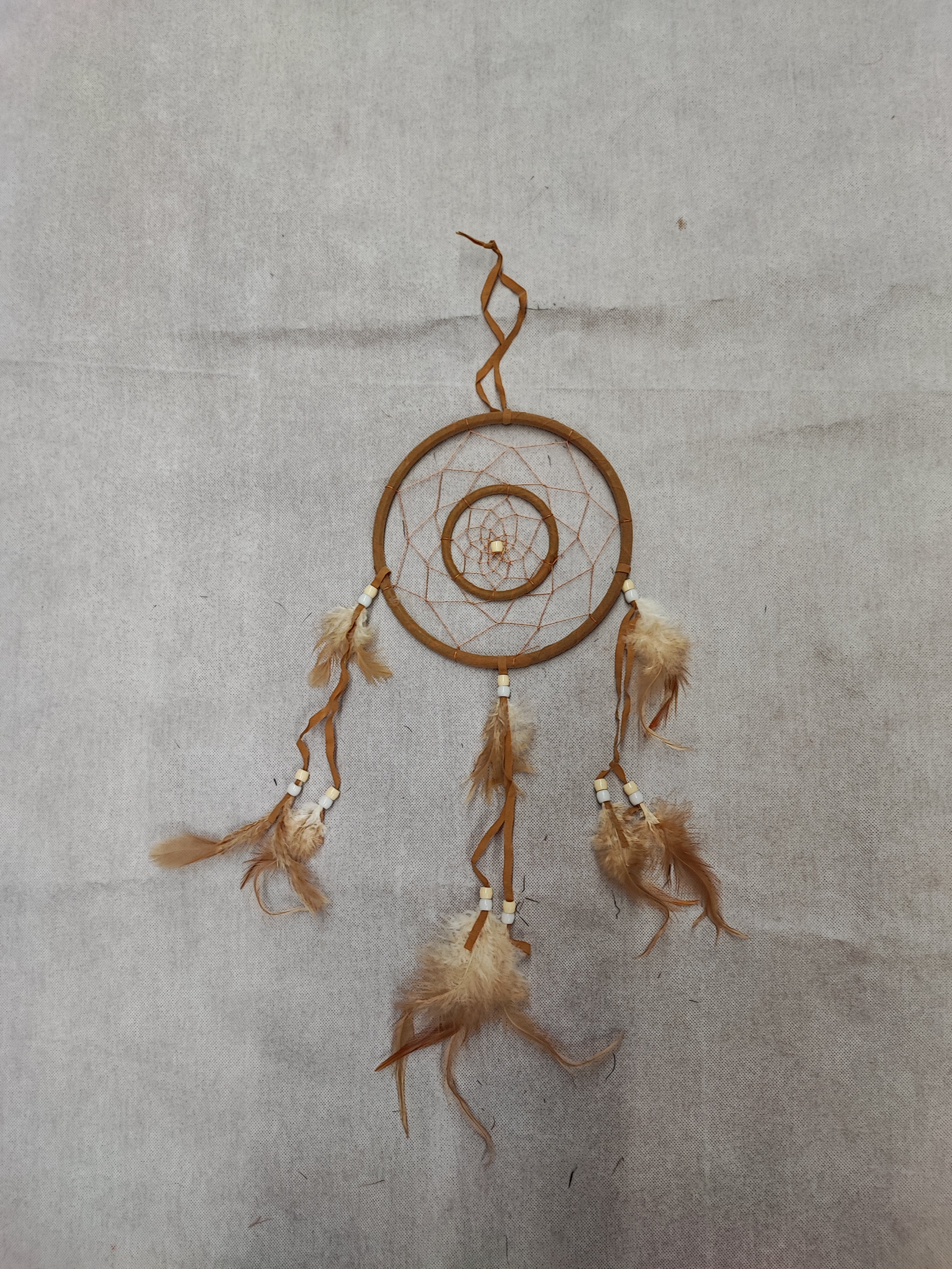 Déco Attrape-rêve raison (x12)