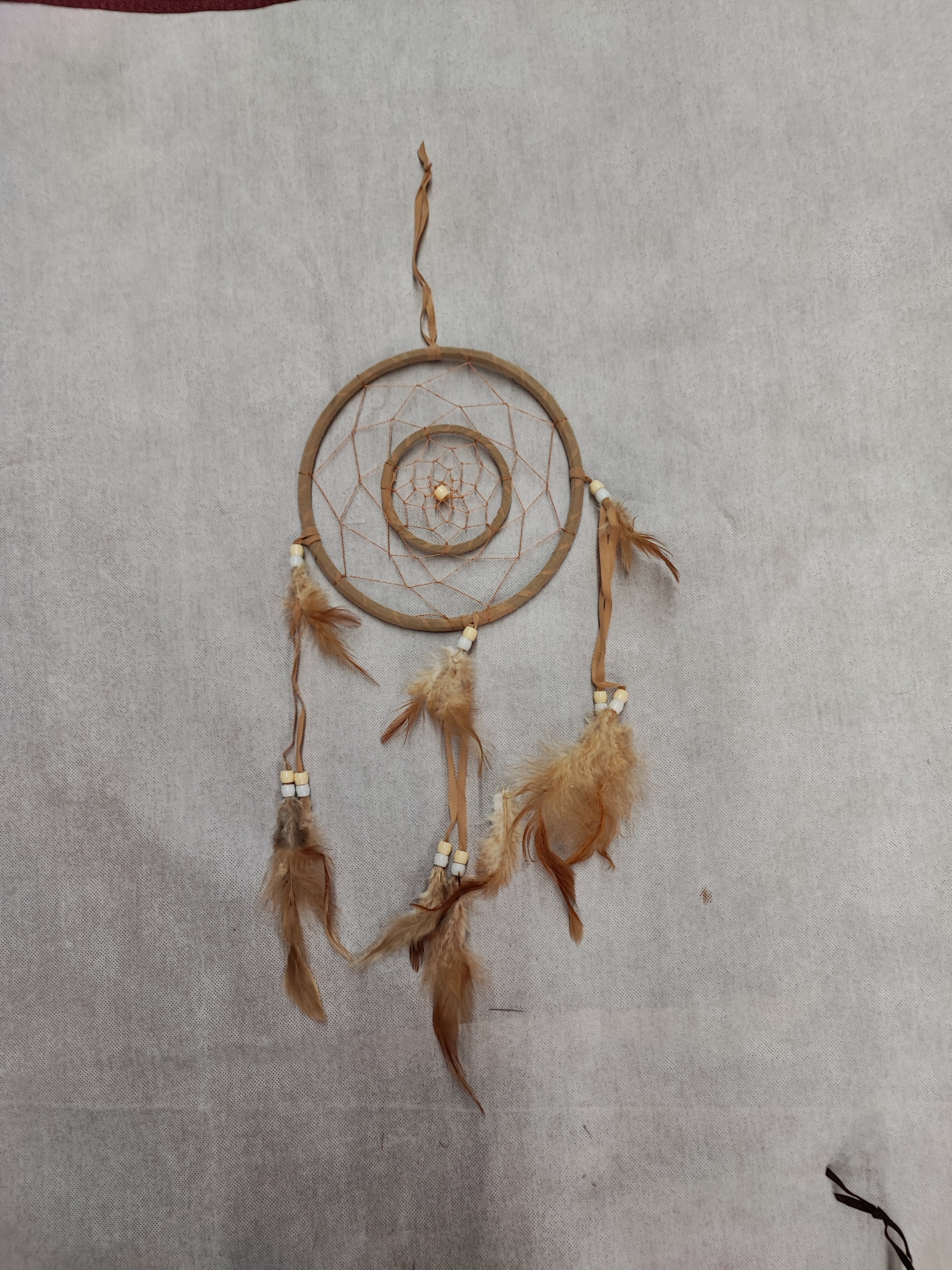 Déco Attrape-rêve raison (x12)