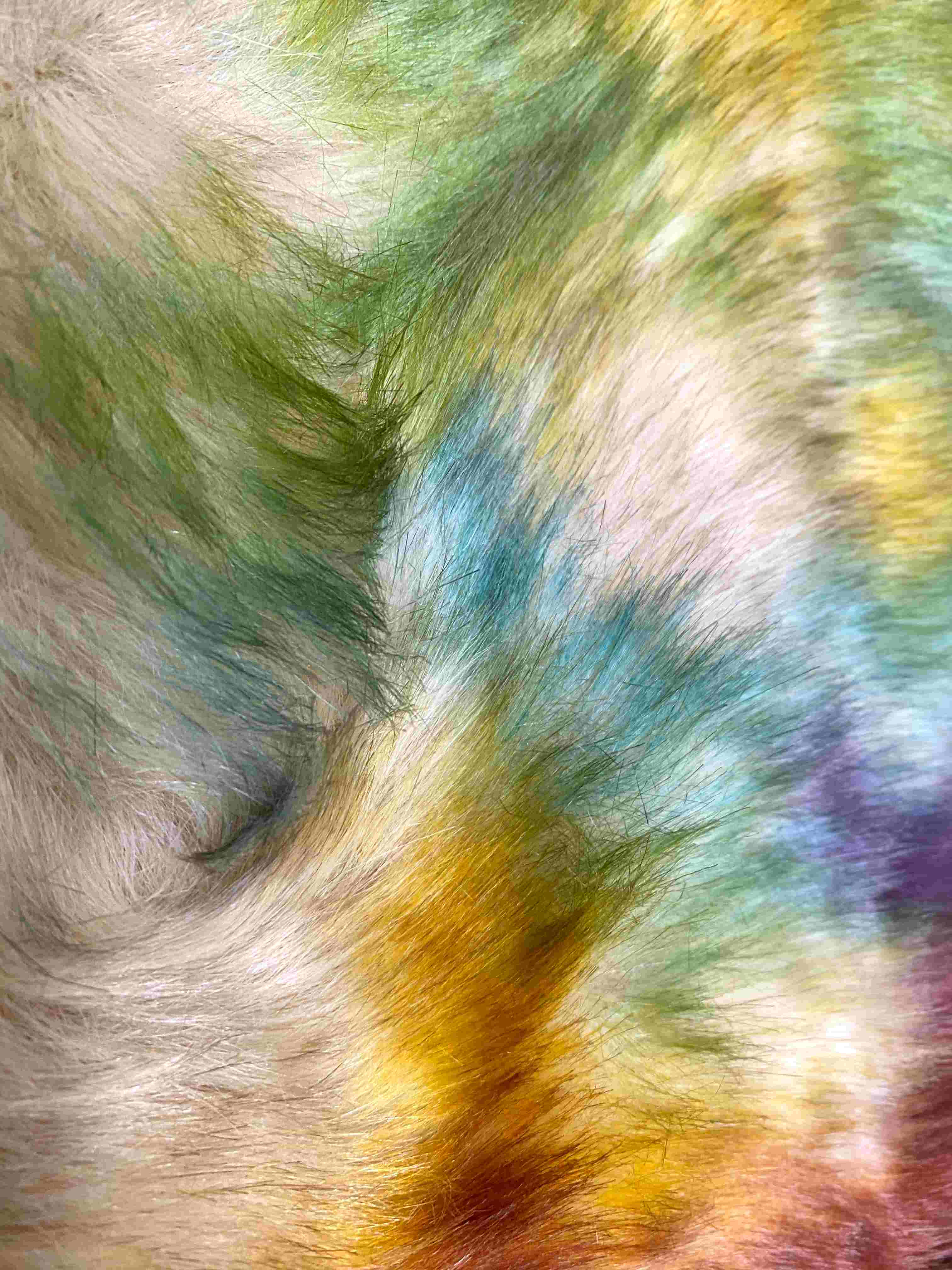 Col fausse fourrure (x6) 3,90€/unité | Grossiste-pro