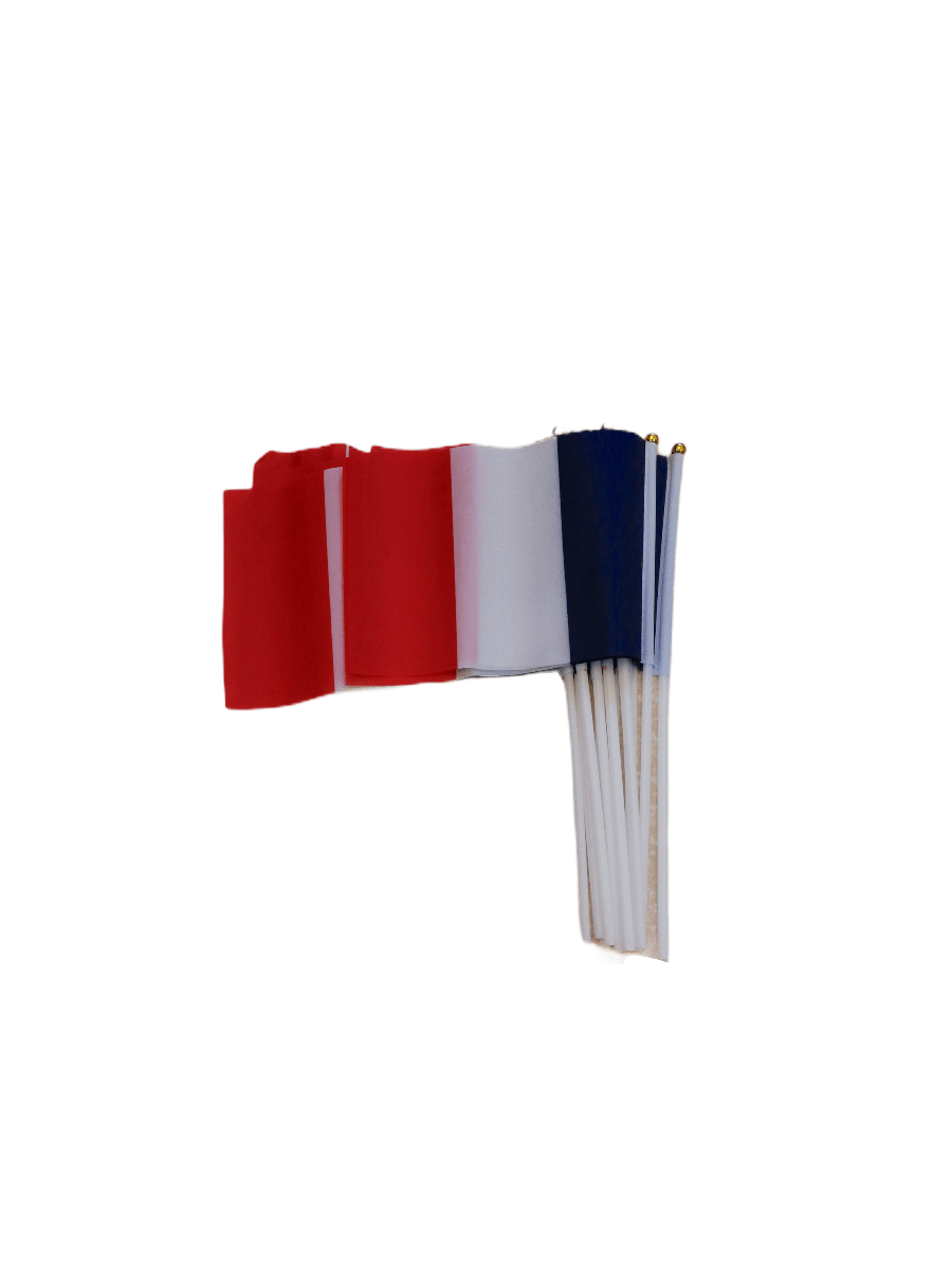 LOT DE 12 - petit drapeau France 0,80€/unité | Grossiste-pro