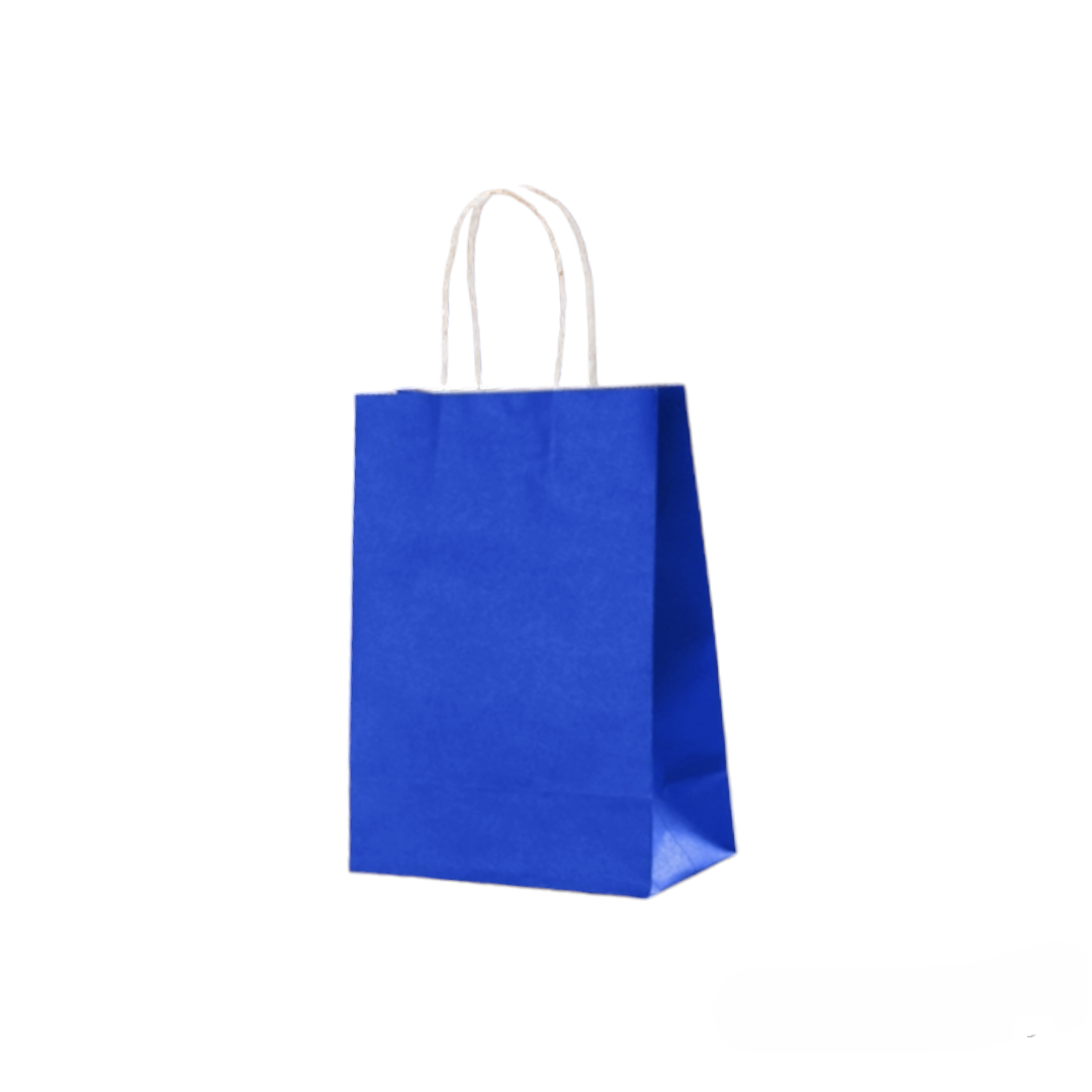 LOT DE 24 - Sacs kraft boutique (couleurs au choix)T16*8*22 l