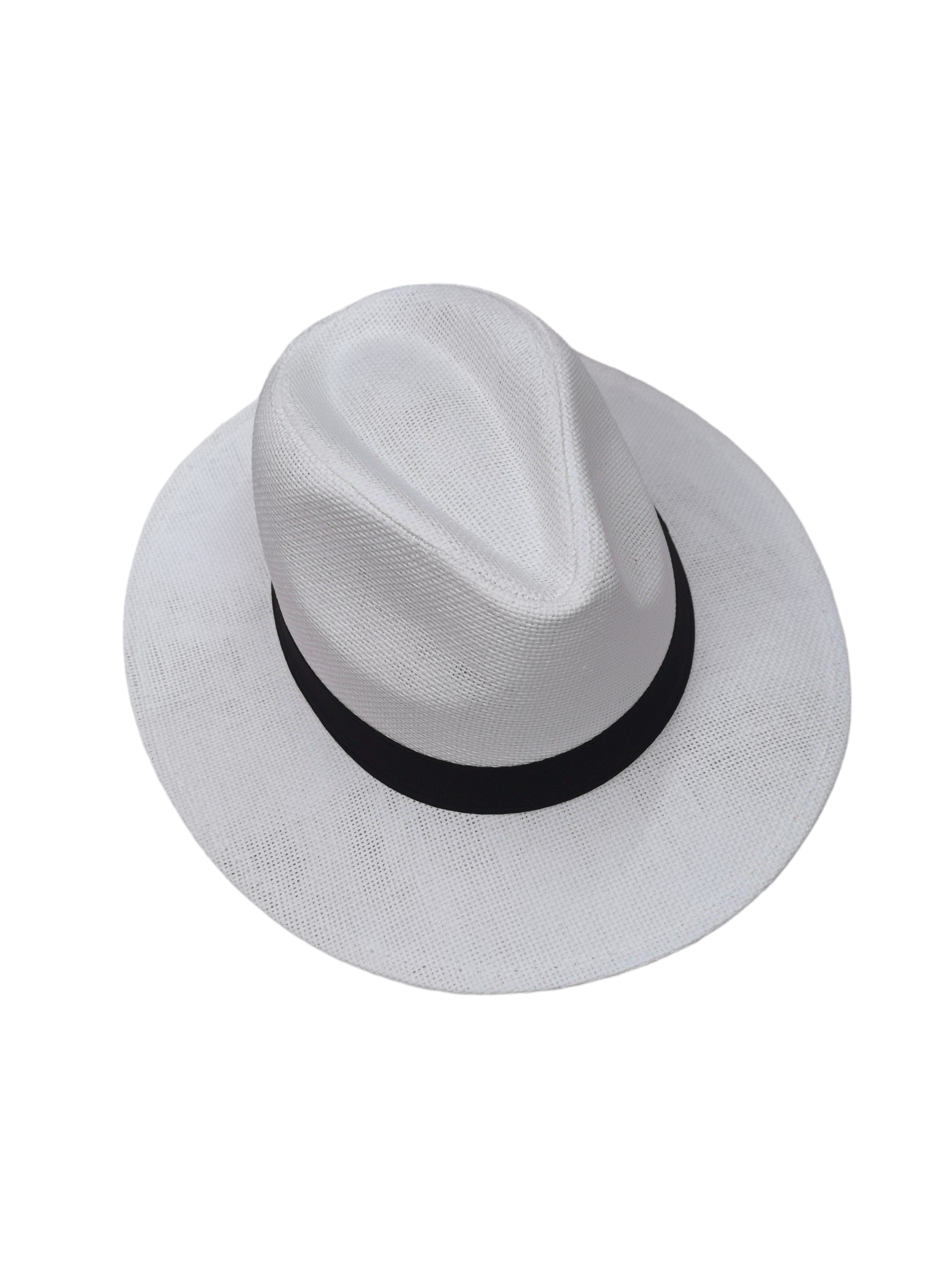 Chapeaux borsalino paille  (x12)#2305