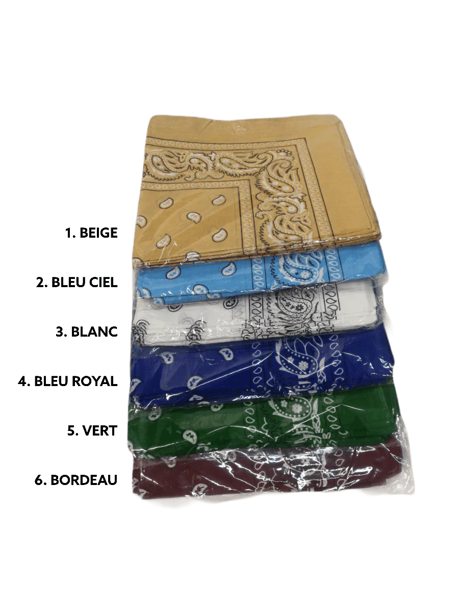 Bandana 100% coton Motif Paisley  (x12)