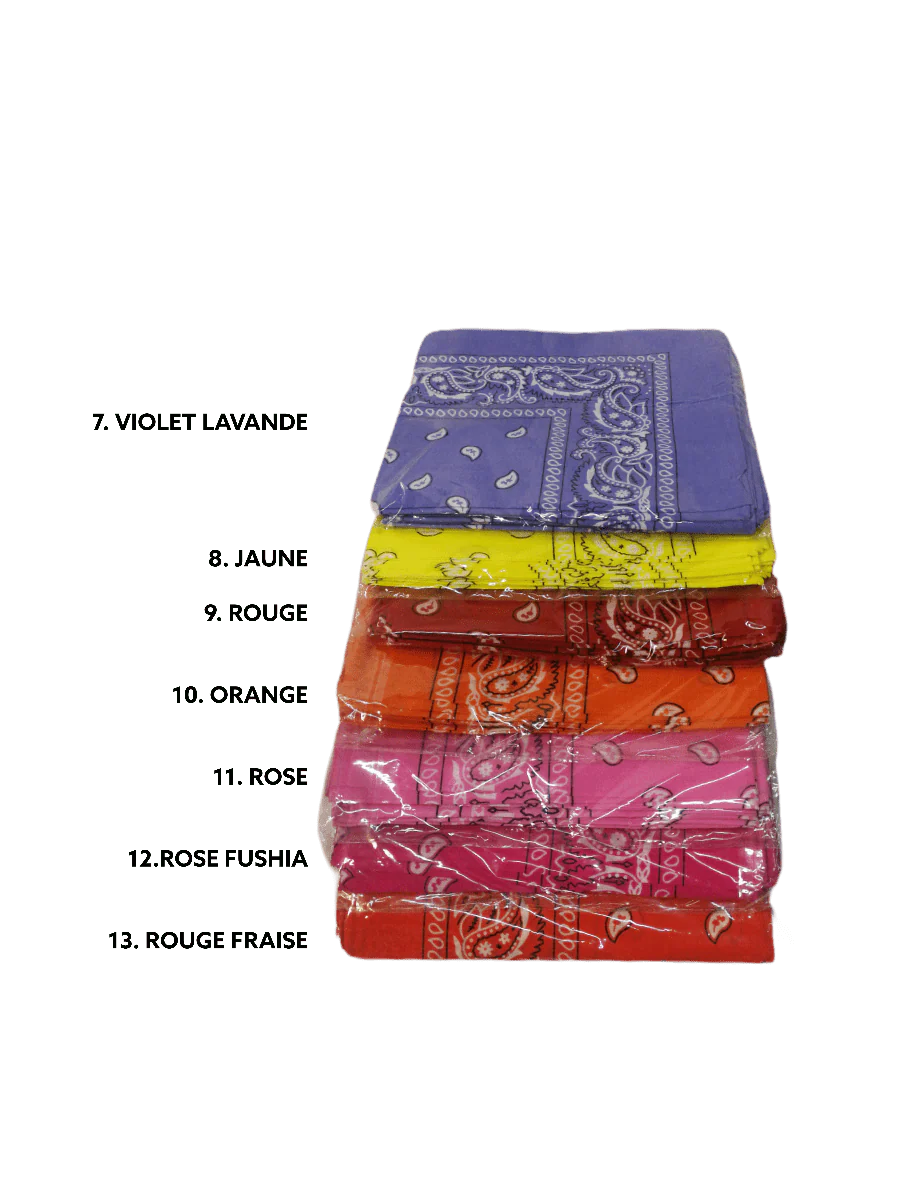 Bandana 100% coton Motif Paisley  (x12)