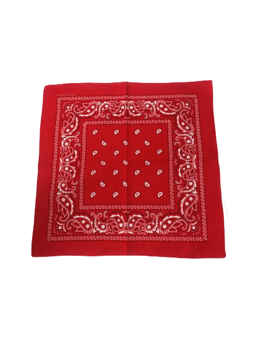 Bandana 100% coton Motif Paisley  (x12)