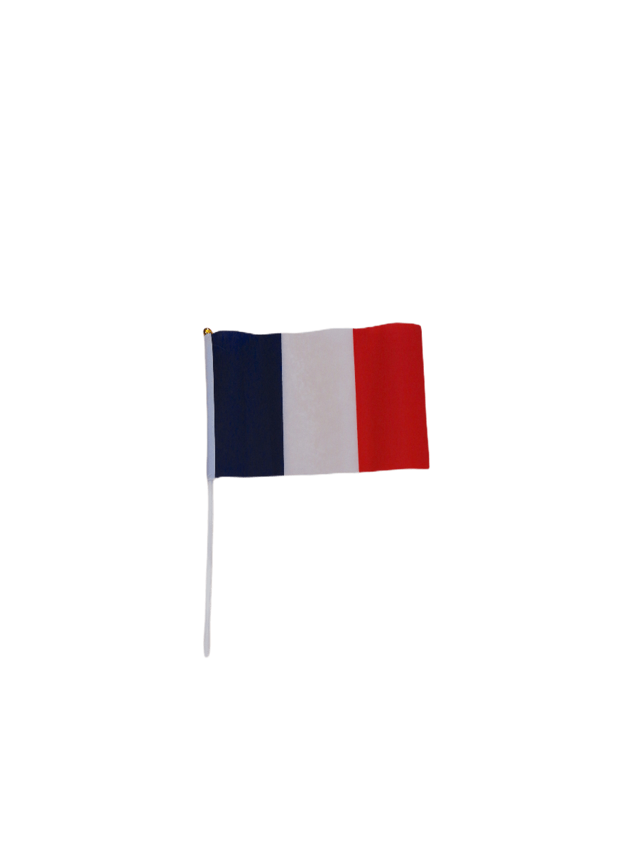 LOT DE 12 - petit drapeau France     0,80€/unité | Grossiste-pro