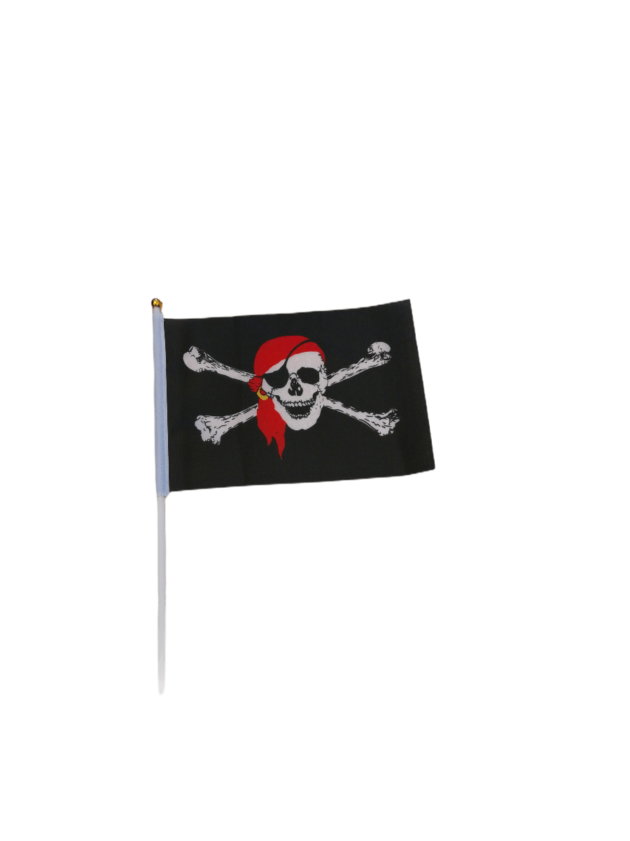 LOT DE 12 - petit drapeau pirate     0,80€/unité | Grossiste-pro